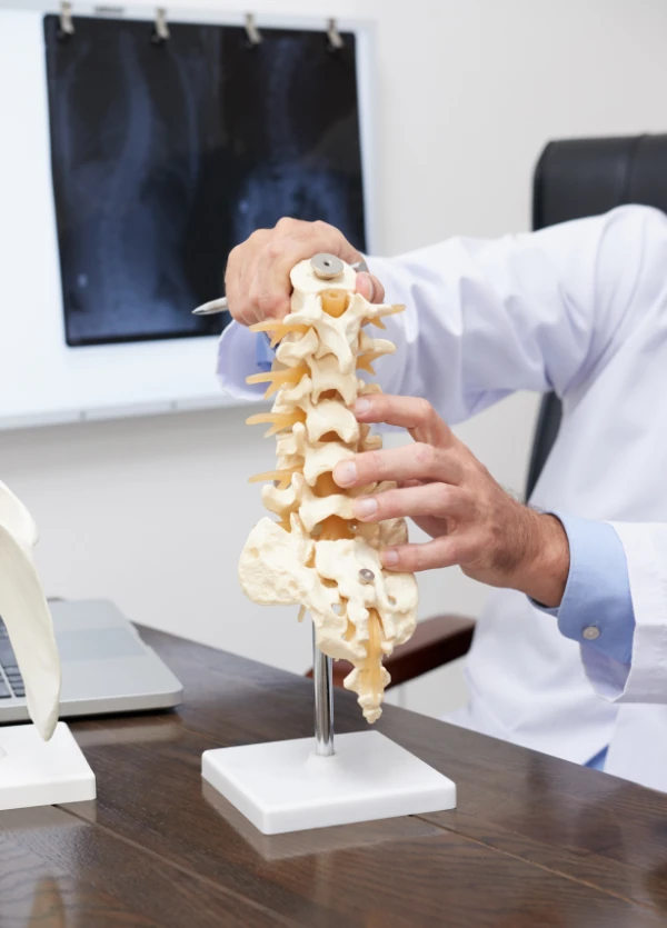 spine pain relief
